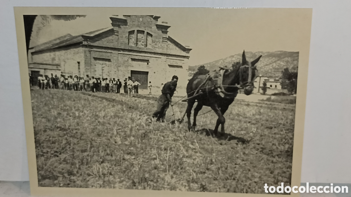 Postales: Numero uno concurso darada davant l&aacute;nchez sociedad agricultores obreros Jaime G&oacute;mez y Puig 1949