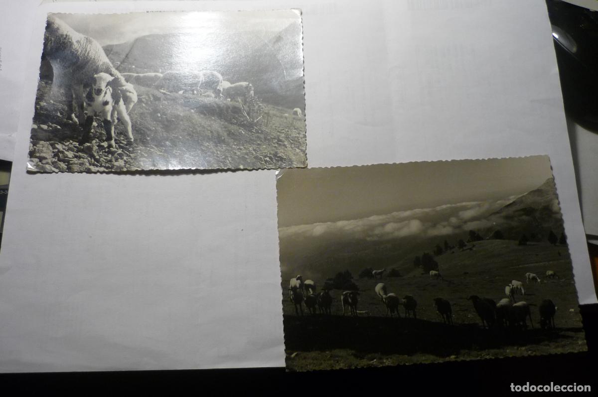 Postales: lote postales gosol serra del verd circuladas cm