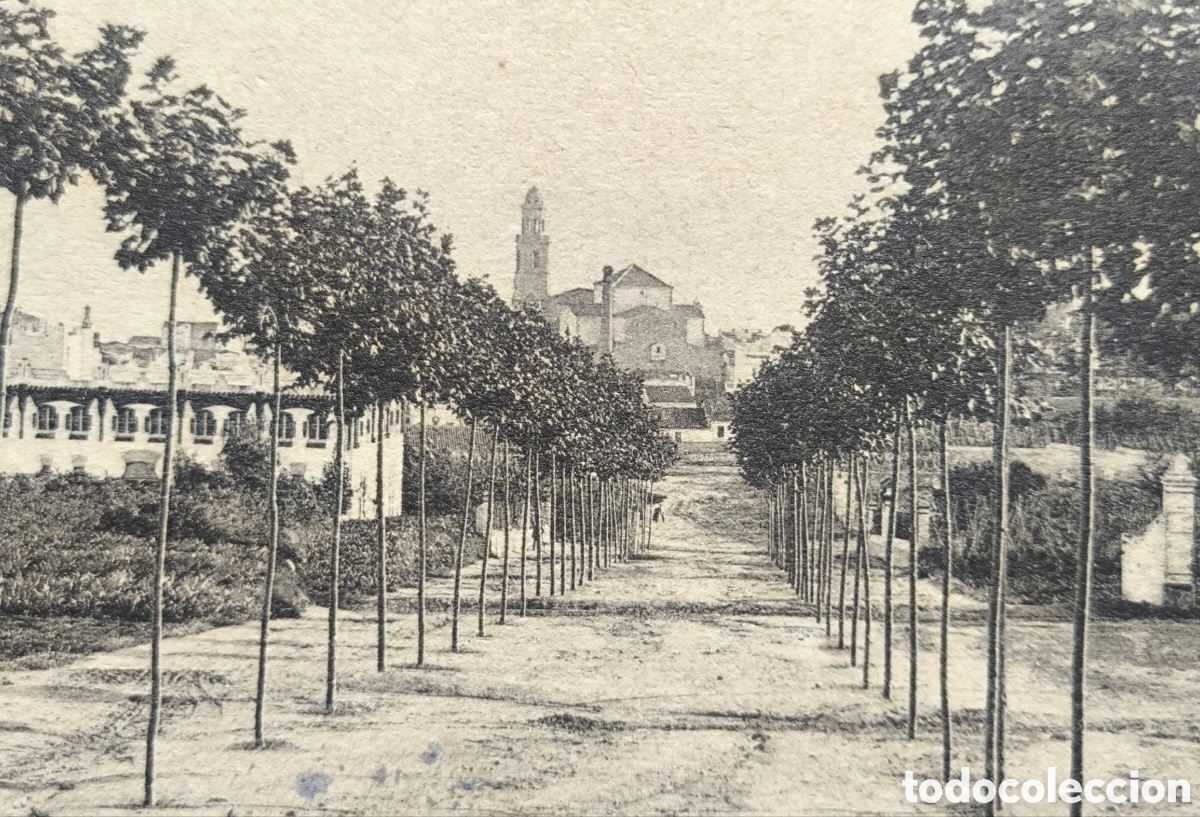Postales: CANET DE MAR PASSEIG MISERIC&Ograve;RDIA POSTAL FOTOTIPIA CIRCULADA 1921