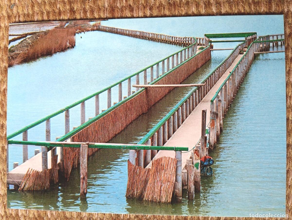 Postales: AMPOSTA - TARRAGONA - ENCA&Ntilde;IZADA