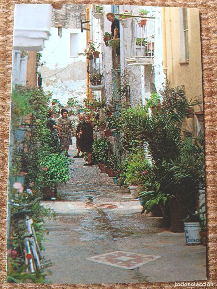 Postales: AMPOSTA - TARRAGONA - CALLE DEL FOSO
