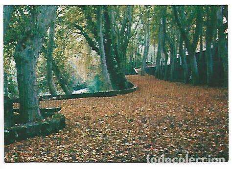 Postales: FONT DE SAN ROC - SAN ROC FOUNTAINE.- OLOT / GIRONA