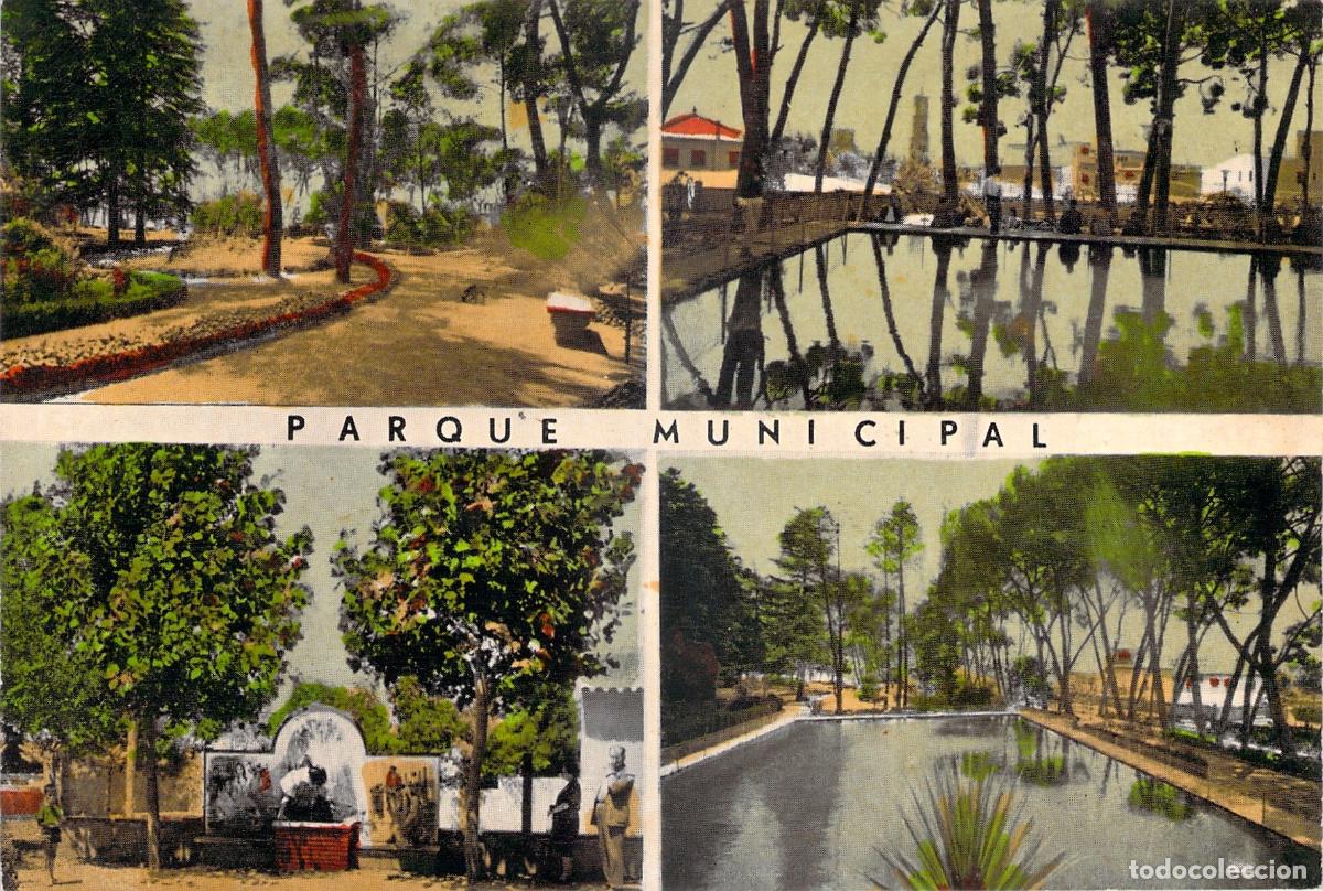 Postales: Postal de San Feliu de Llobregat Parque Municipal