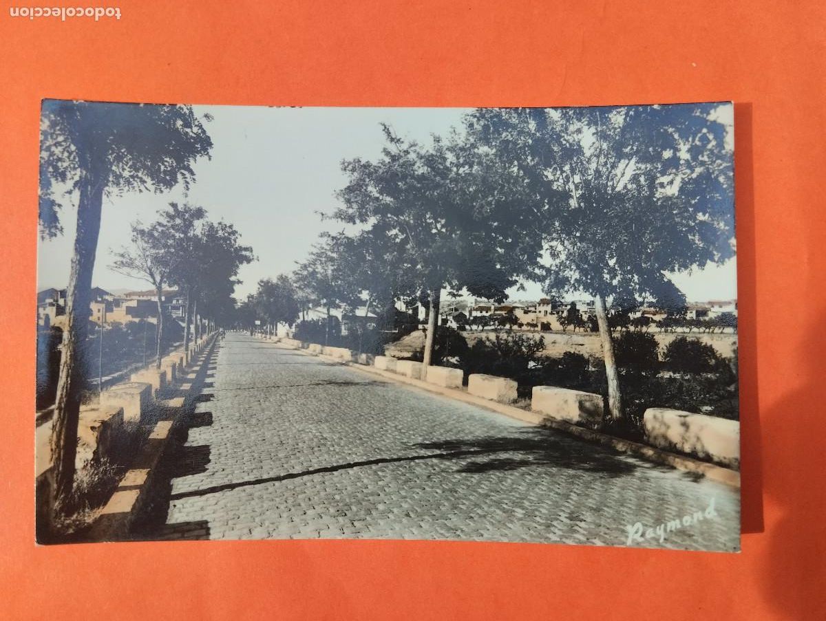 Postales: Mora la Nueva, Tarragona. Paseo del Puente, ed. Raymond. Postal coloreada