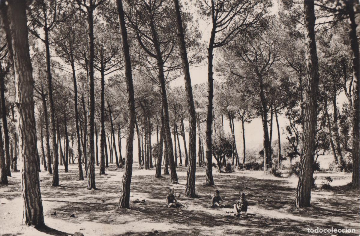 Postales: LA GARRIGA (BARCELONA) ELS PINATONS - L.FOTOGRAFICOS JORI 102 - CIRCULADA