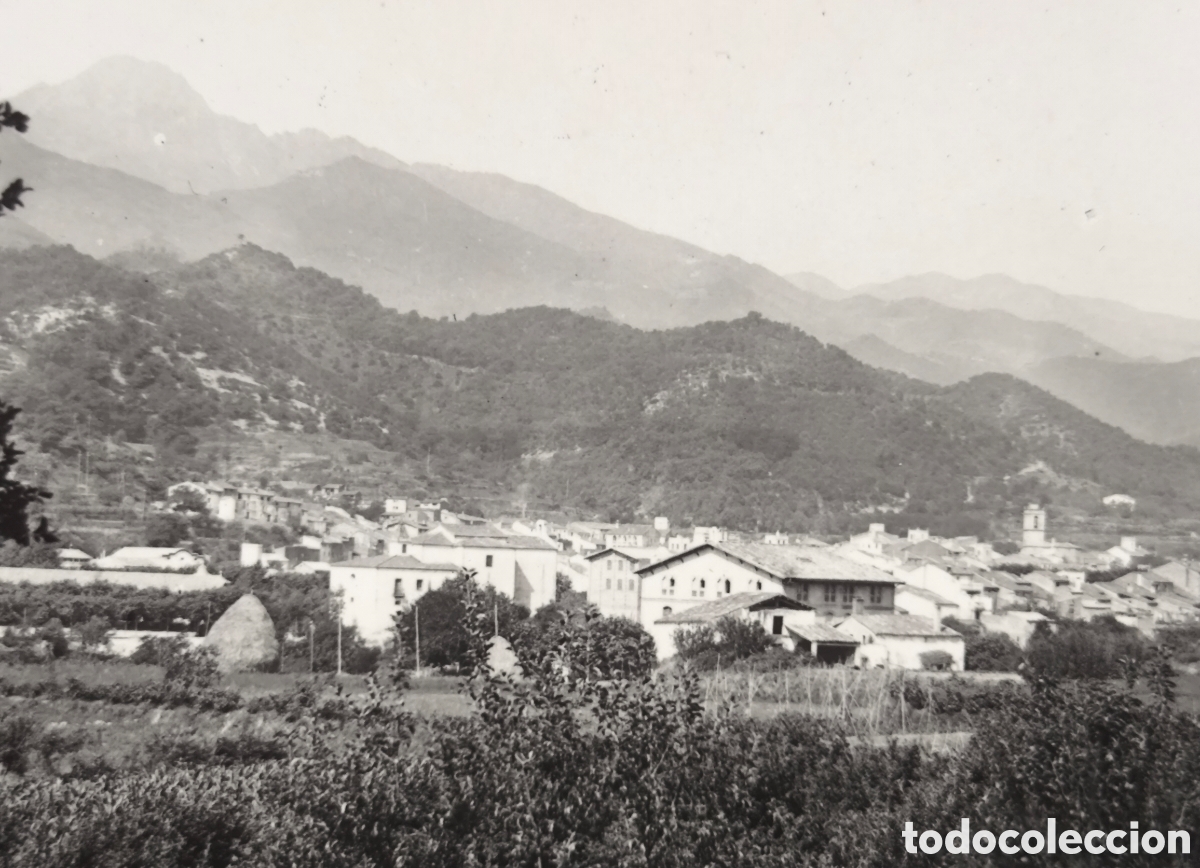 Postales: ARB&Uacute;CIES VISTA DESDE MAS FOGUERES POSTAL FOTOGR&Aacute;FICA GIRONA C. 1955