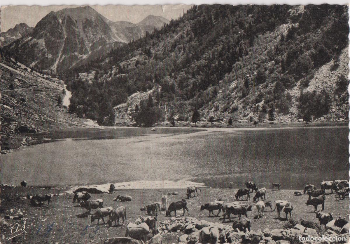 Postales: CALDES DE BOI (LLEIDA) LAGO LLEBRETA EN LA RIBERA DE SANT NICOLAU - LIBRERIA CAM&Iacute; N&ordm;163 - ESCRITA