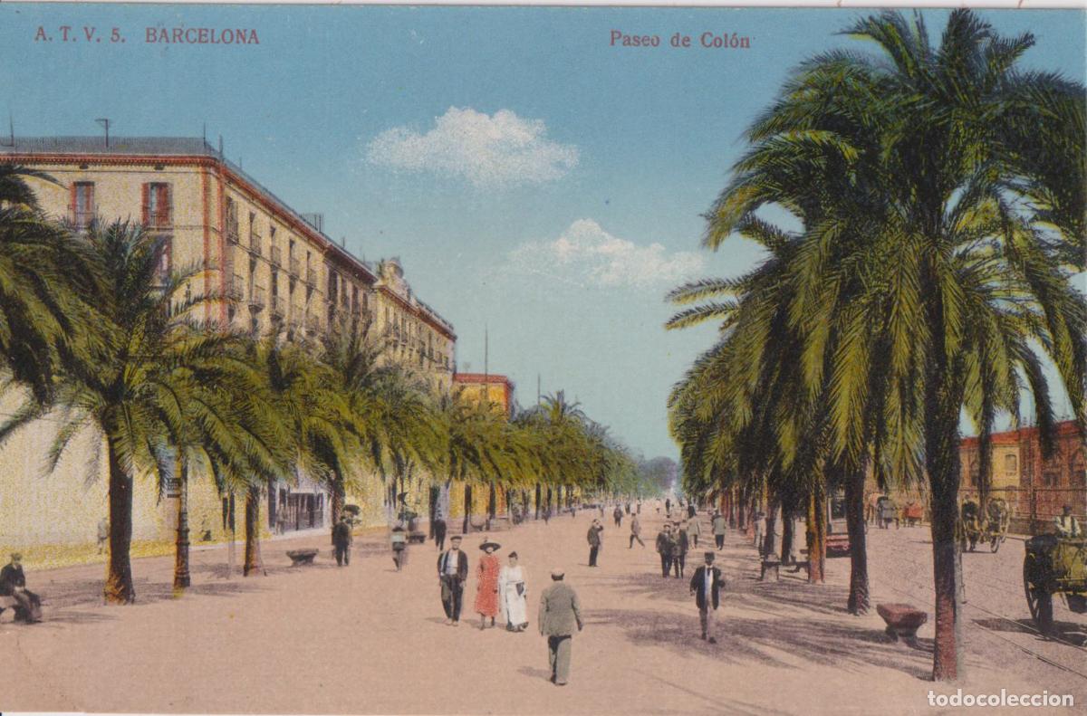 Postales: BARCELONA, PASEO DE COL&Oacute;N - A.T.V. N&ordm;5 - S/C