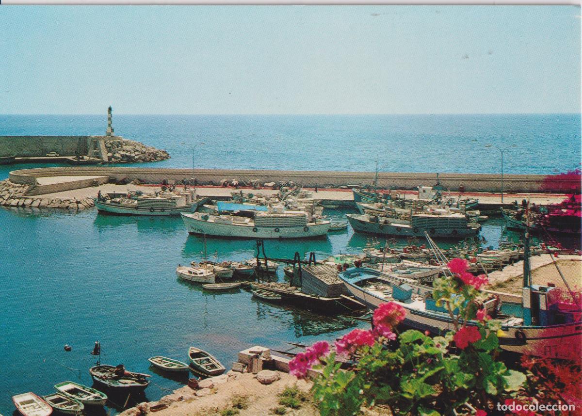 Postales: L'AMETLLA DE MAR (TARRAGONA) EL PUERTO - FOTO COLOR RAYMOND N&ordm;47 - S/C