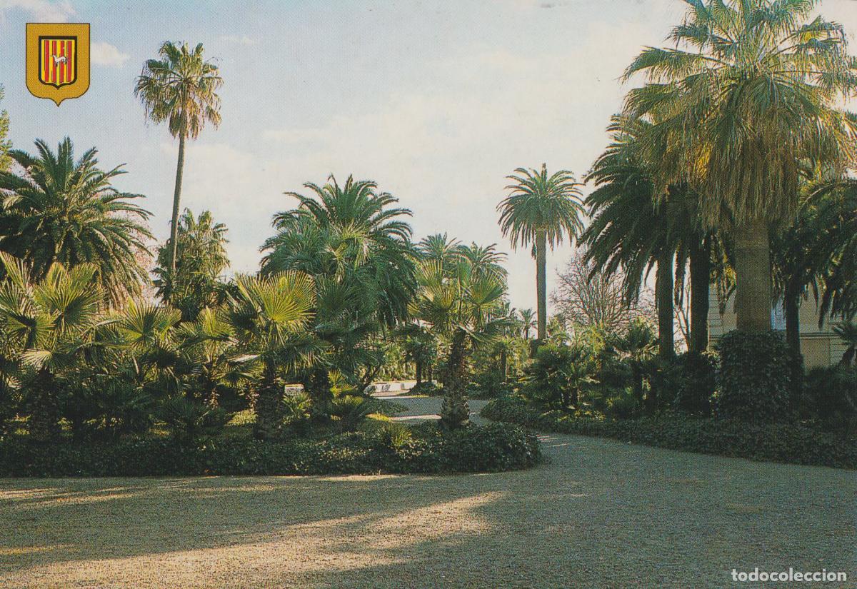 Postales: PARK SAMA, CAMBRILS (TARRAGONA) VISTA GENERAL PALMERES - ESCUDO DE ORO N&ordm;11 - S/C