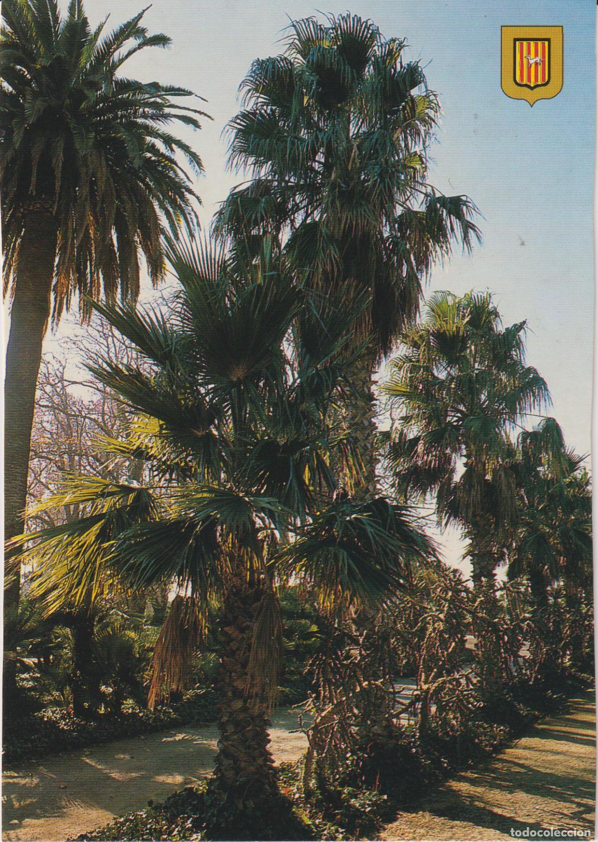 Postales: PARK SAMA, CAMBRILS (TARRAGONA) VISTA PALMERES - ESCUDO DE ORO N&ordm;15 - S/C