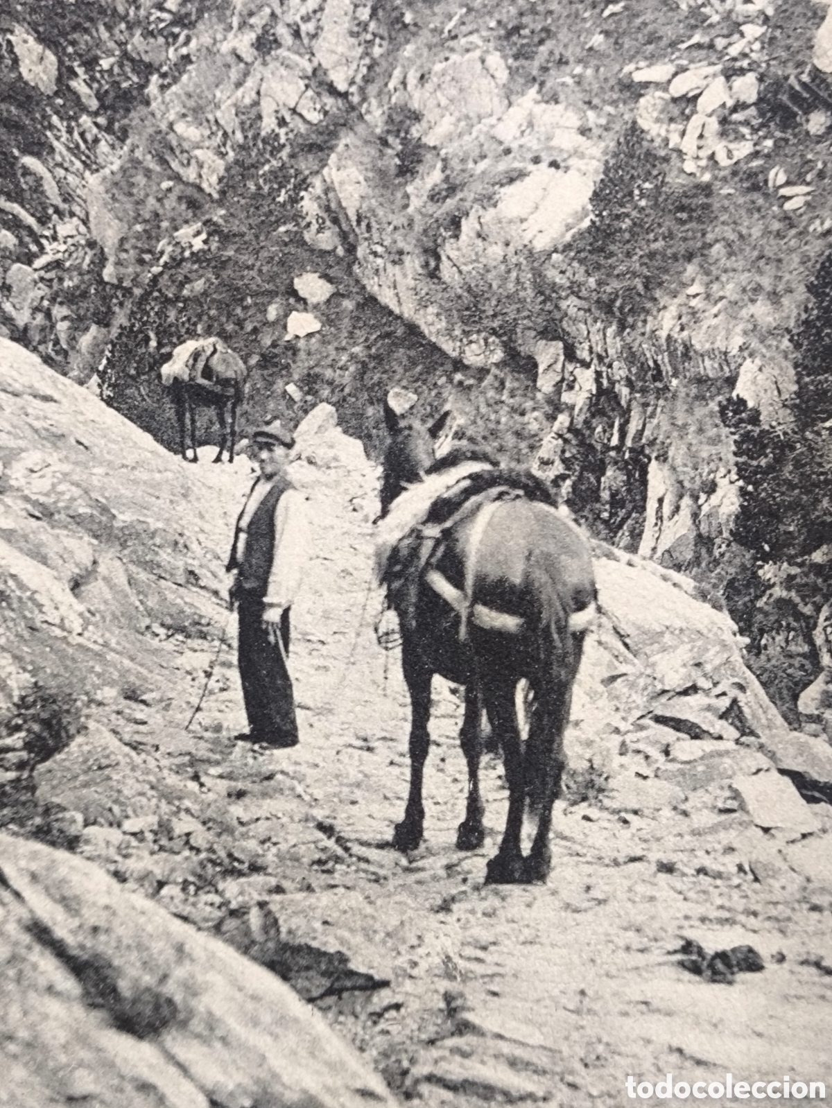 Postales: N&Uacute;RIA TRAGINER CREU D'EN RIBA POSTAL FOTOTIPIA GIRONA C. 1910