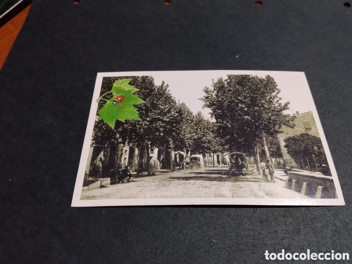 Postales: Postal bot mol uni&oacute; de botiguers de Molins de Rei