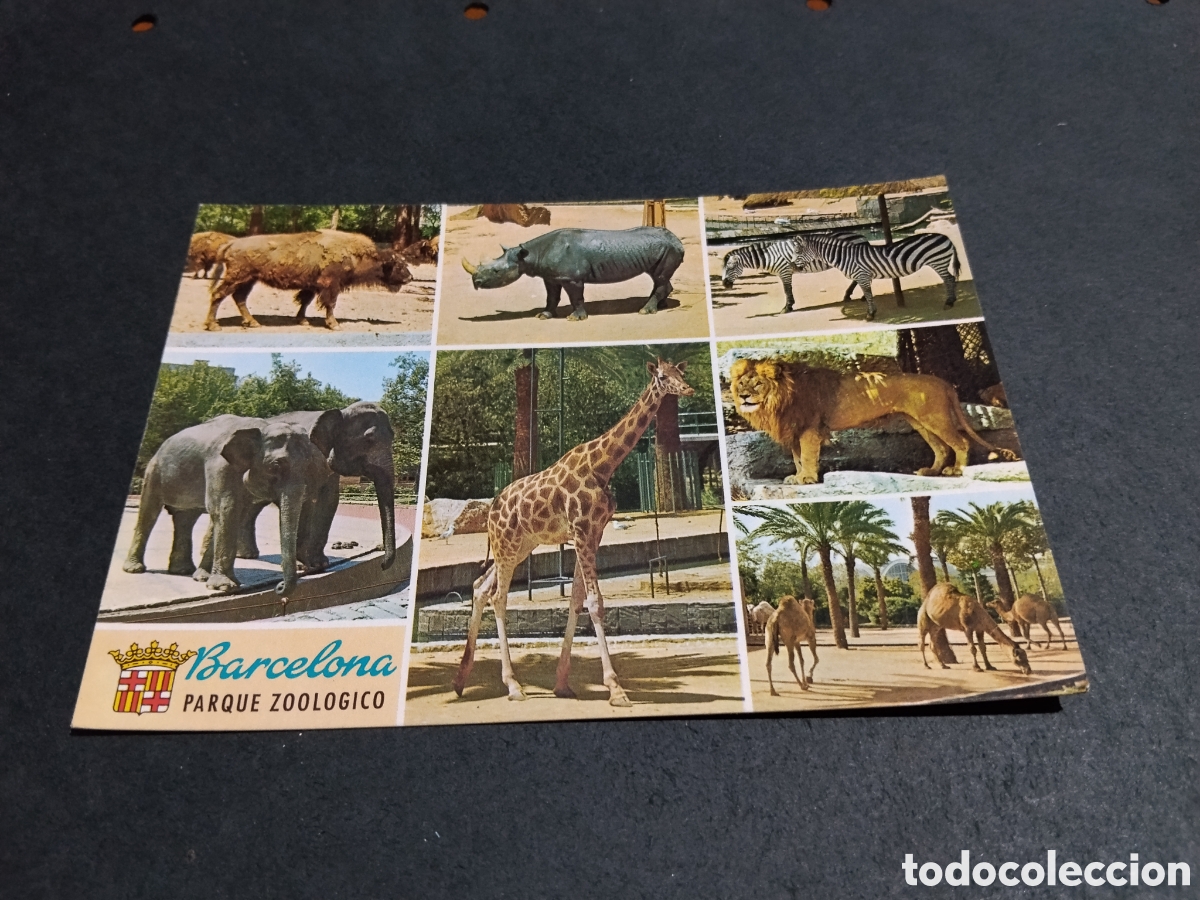Postales: Postal Barcelona parque zool&oacute;gico