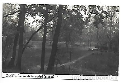 Postales: PARQUE DE LA CIUDAD ( PRADOS ).- OLOT / GIRONA
