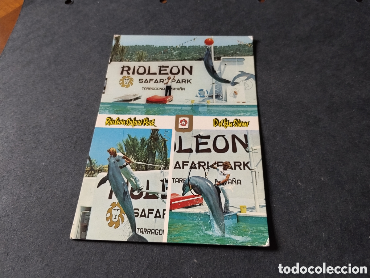 Postales: Postal Rioleon Safari park