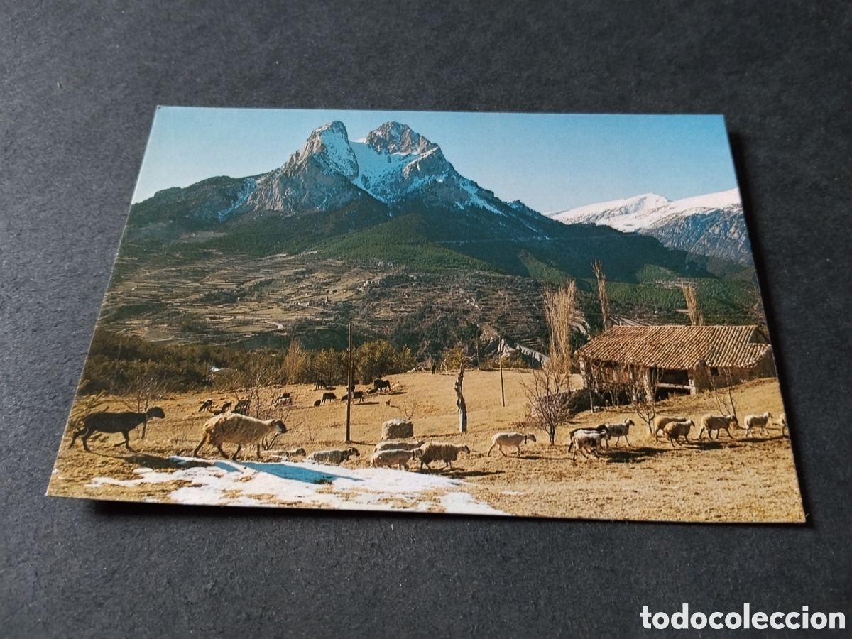 Postales: Postal pedraforta ,saldes