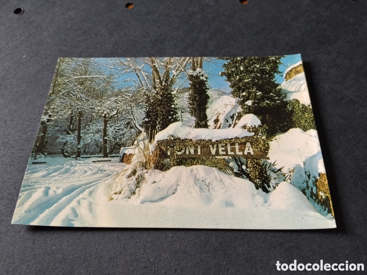 Postales: Postal Sant Hilari de Sacalm,font vella
