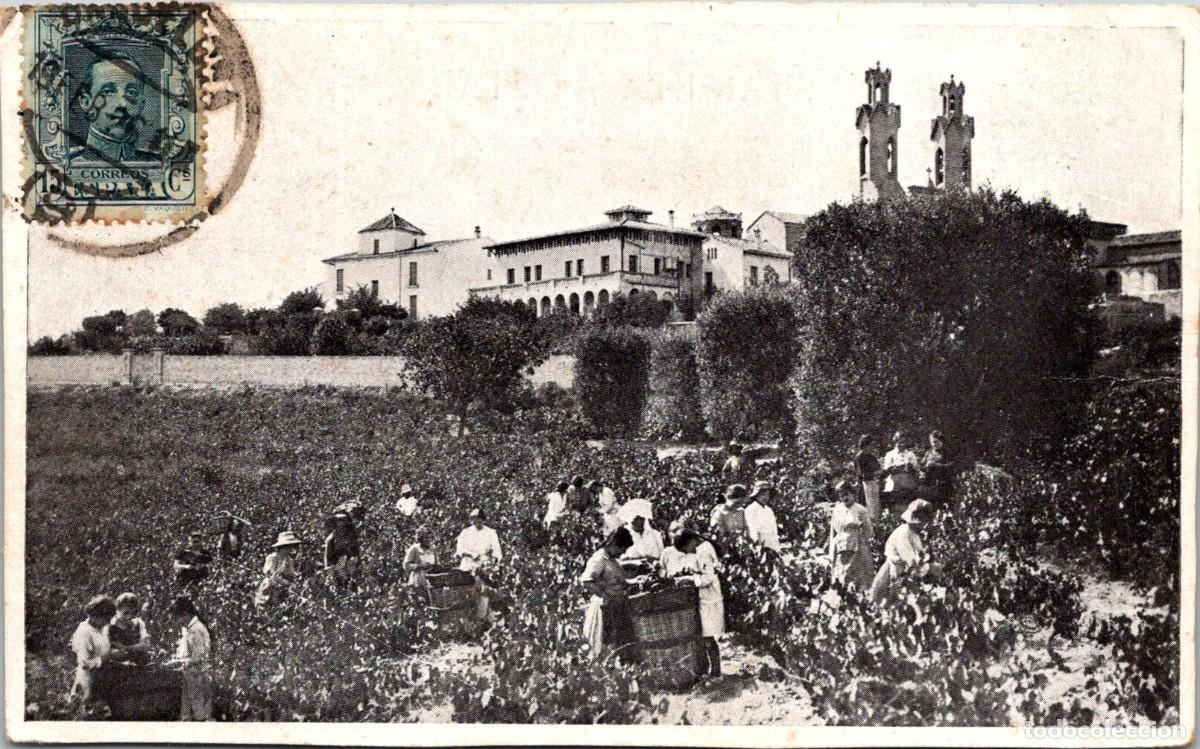 Postales: Sant Esteve Sesrovires - La verema - Al fons Esgl&eacute;sia Parroquial -Tip. El Siglo XX-NO Canals Nubiola