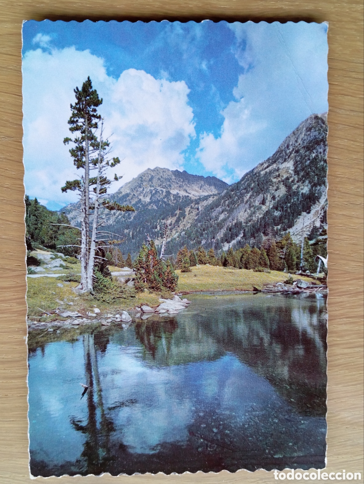 Postales: POSTAL VALLE DE BOHI PIRINEOS HOTEL LOS ABETOS L&Eacute;RIDA LLEIDA GARC&Iacute;A GARRABELLA 5048 A&Ntilde;O 1963 TROQUEL
