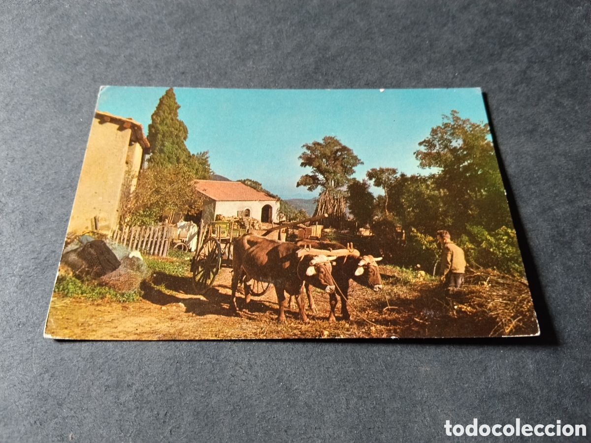 Postales: Postal arbucias mas&iacute;a - Foto 1