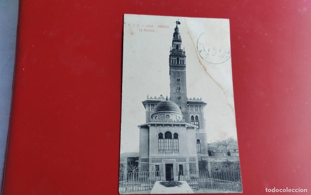 Postales: ARBOS , POSTAL ANTIGUA, BLANCO Y NEGRA