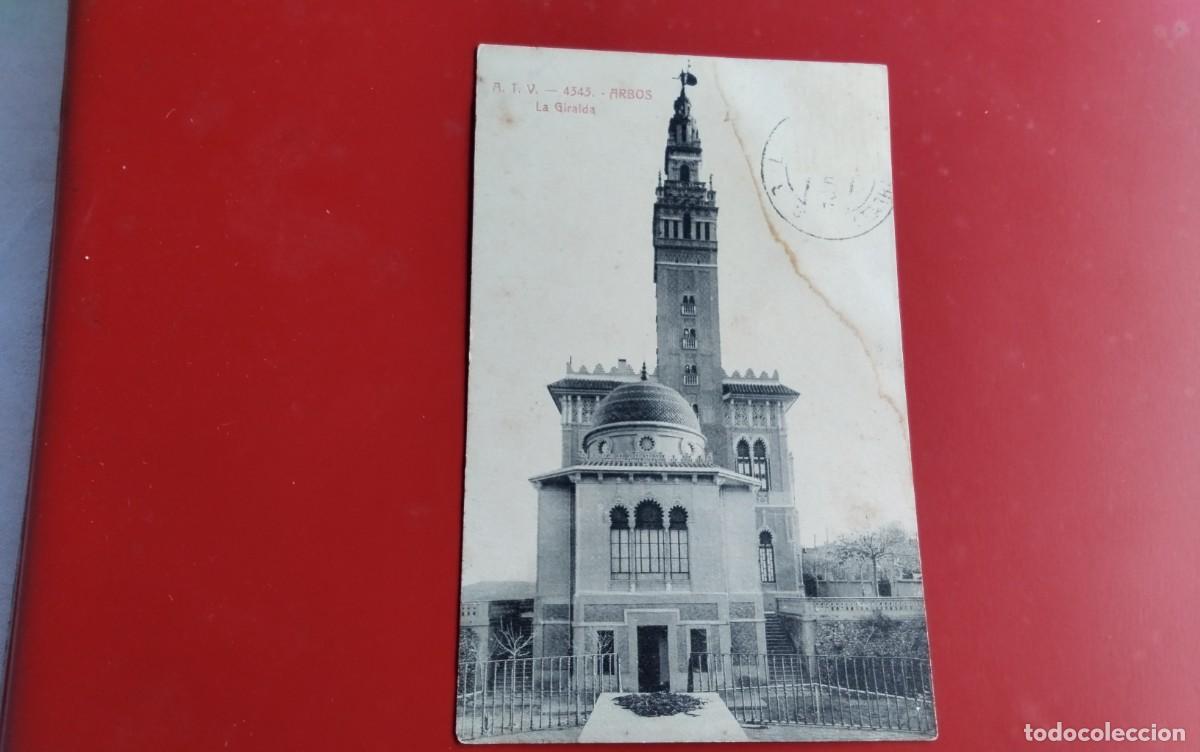 Postales: ARBOS , POSTAL ANTIGUA, BLANCO Y NEGRA - Foto 2