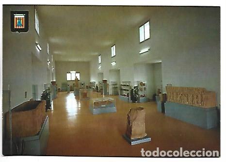 Postales: SALA PRINCIPAL DEL MUSEO MONOGRAFICO.- AMPURIAS / GIRONA - GERONA