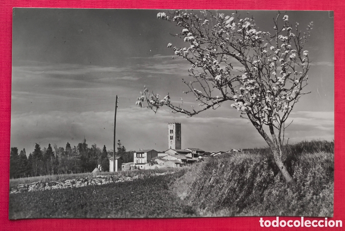 Postales: SEVA CAMPANAR POSTAL FOTOGR&Aacute;FICA FOT. SUBIR&Aacute; OSONA C. 1950