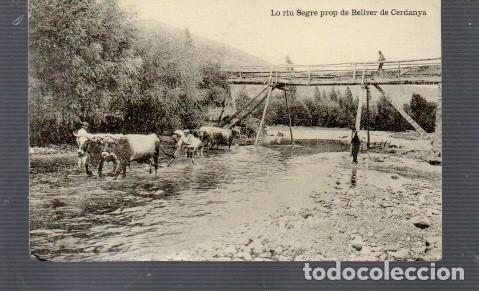 Postales: PORTAL DE BELLVER DE CERDANYA EDITO FONDA BIAYNA LO RIO SEGRE PASA POE BELLVER SIN CIRCULAR