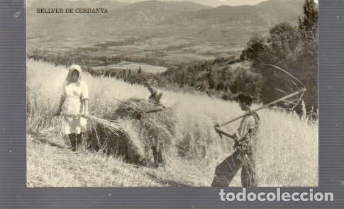 Postales: PORTAL DE BELLVER DE CERDANYA EDITO FONDA BIAYNA RECOJIENDO EL TRIGO BELLVER SIN CIRCULAR