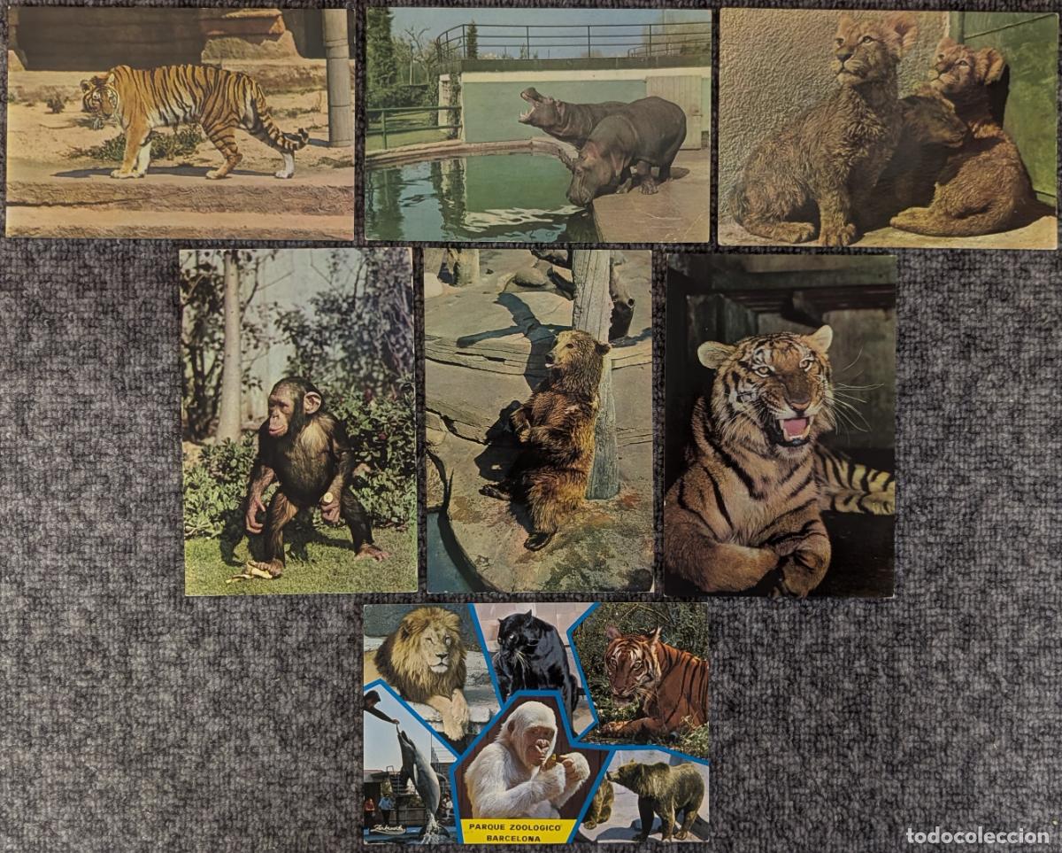 Postais: Lote de postales del Zoo de Barcelona - A&ntilde;os 60