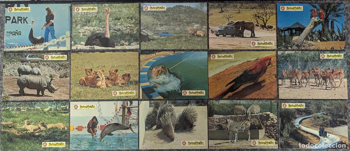 Postkarten: Lote de 15 postales del Safari Park R&iacute;o-Le&oacute;n - Albi&ntilde;ana - Tarragona (1978)