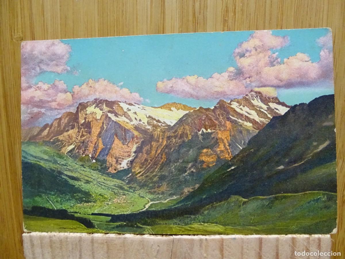 Postales: TARJETA POSTAL. NATURALEZA