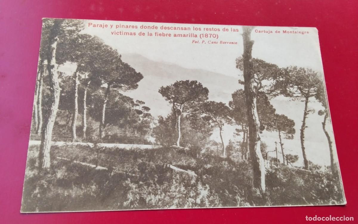 Postales: CARTUJA DE MONTALEGRE TIANA , POSTAL ANTIGUA , BLANCO Y NEGRO