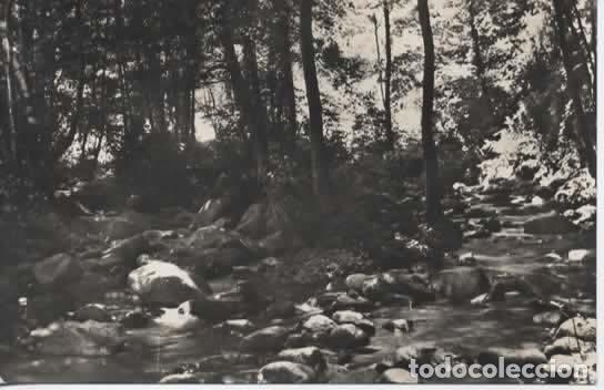 Postales: GERONA ARBUCIAS SIN ESCRIBIR RIERA