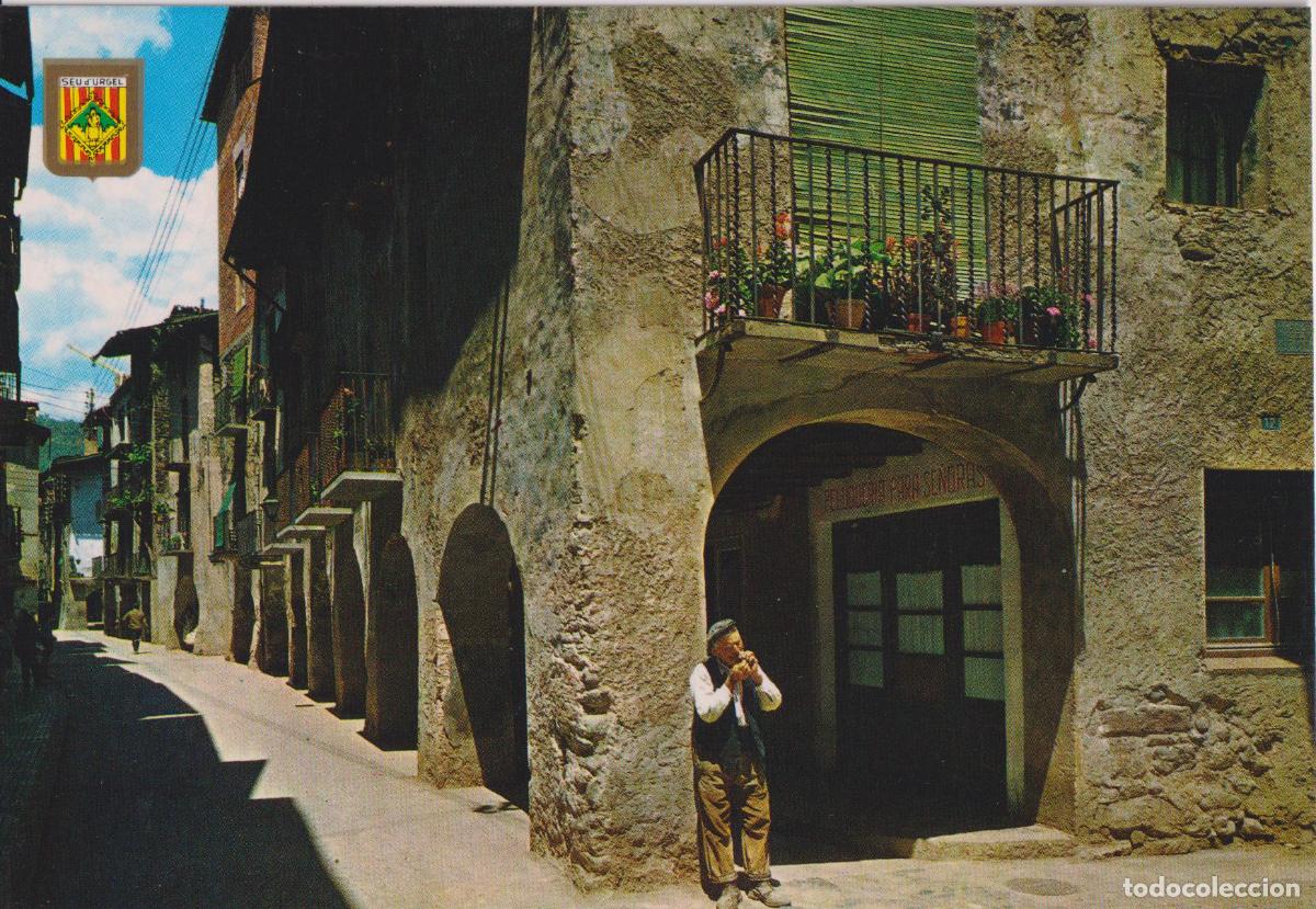 Postais: SEU D'URGELL (LLEIDA) CARRER T&Iacute;PIC, SANTA MARIA - ESCUDO DE ORO N&ordm;12 - S/C