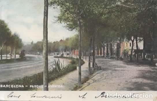 Postkarten: BARCELONA AVENIDA PARQUE 1905 DORSO SIN DIVIDIR