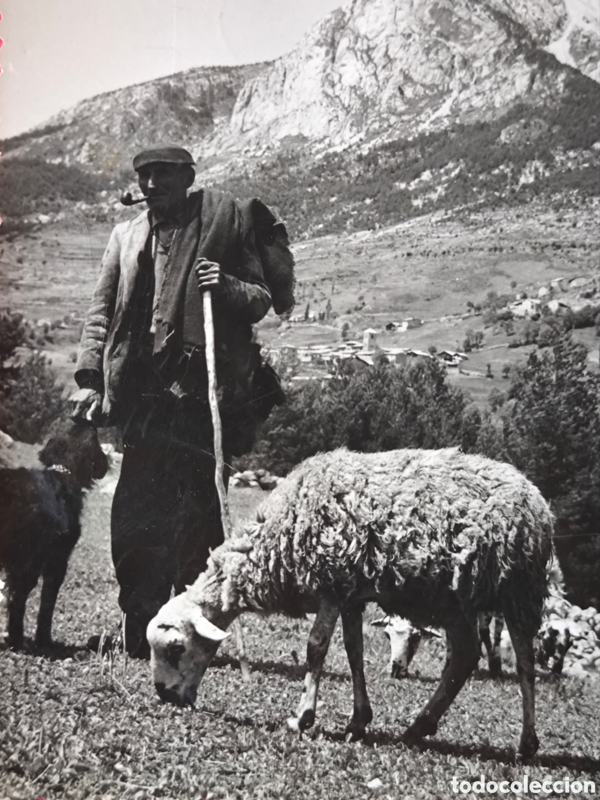 Postales: BERGA PASTOR OVELLA AL FONS EL PEDRAFORCA POSTAL FOTOGR&Aacute;FICA C. 1960