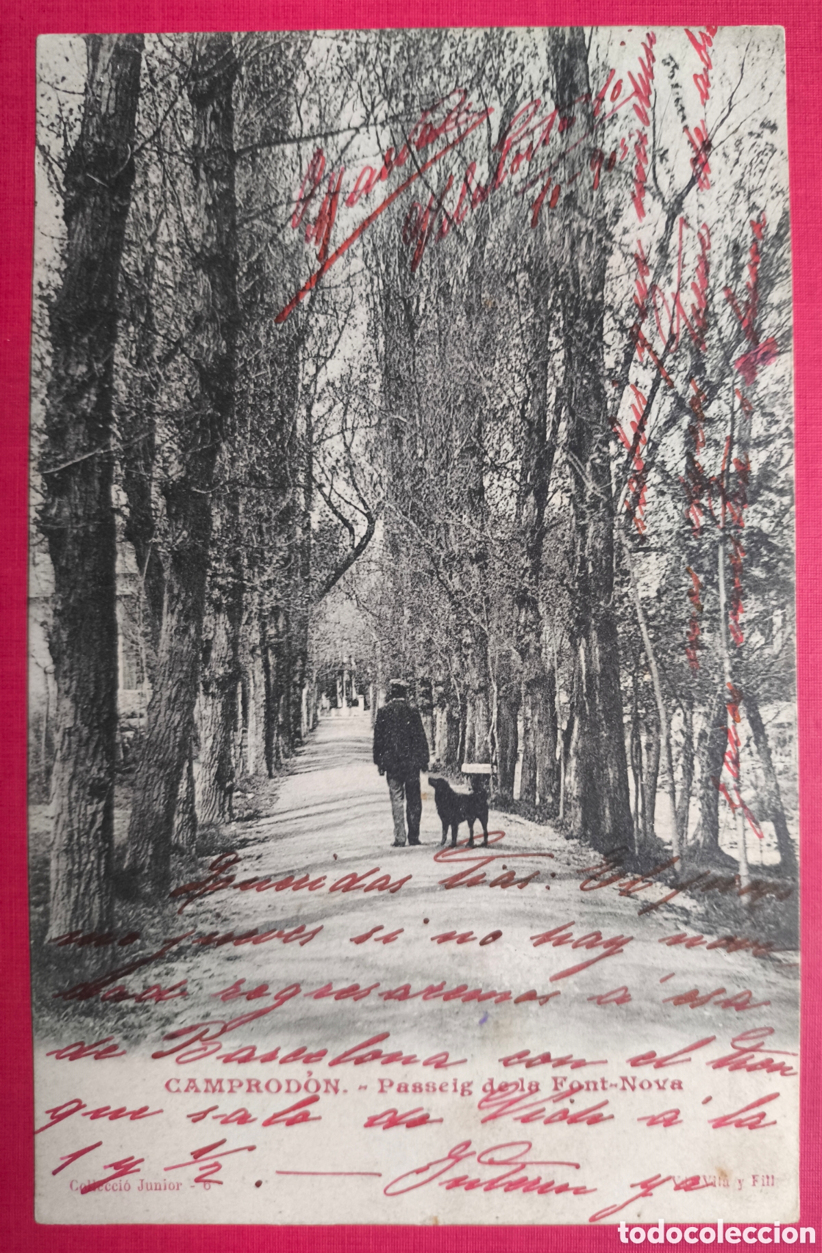 Postales: CAMPRODON PASSEIG FONT NOVA POSTAL ANIMADA FOTOTIPIA CIRCULADA GIRONA C. 1905