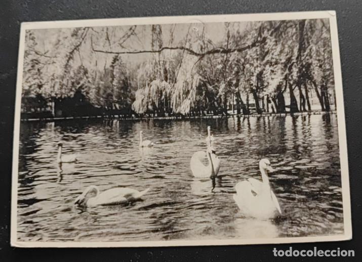 Postales: PUIGCERDA, LAGO, POSTAL ANTIGUA
