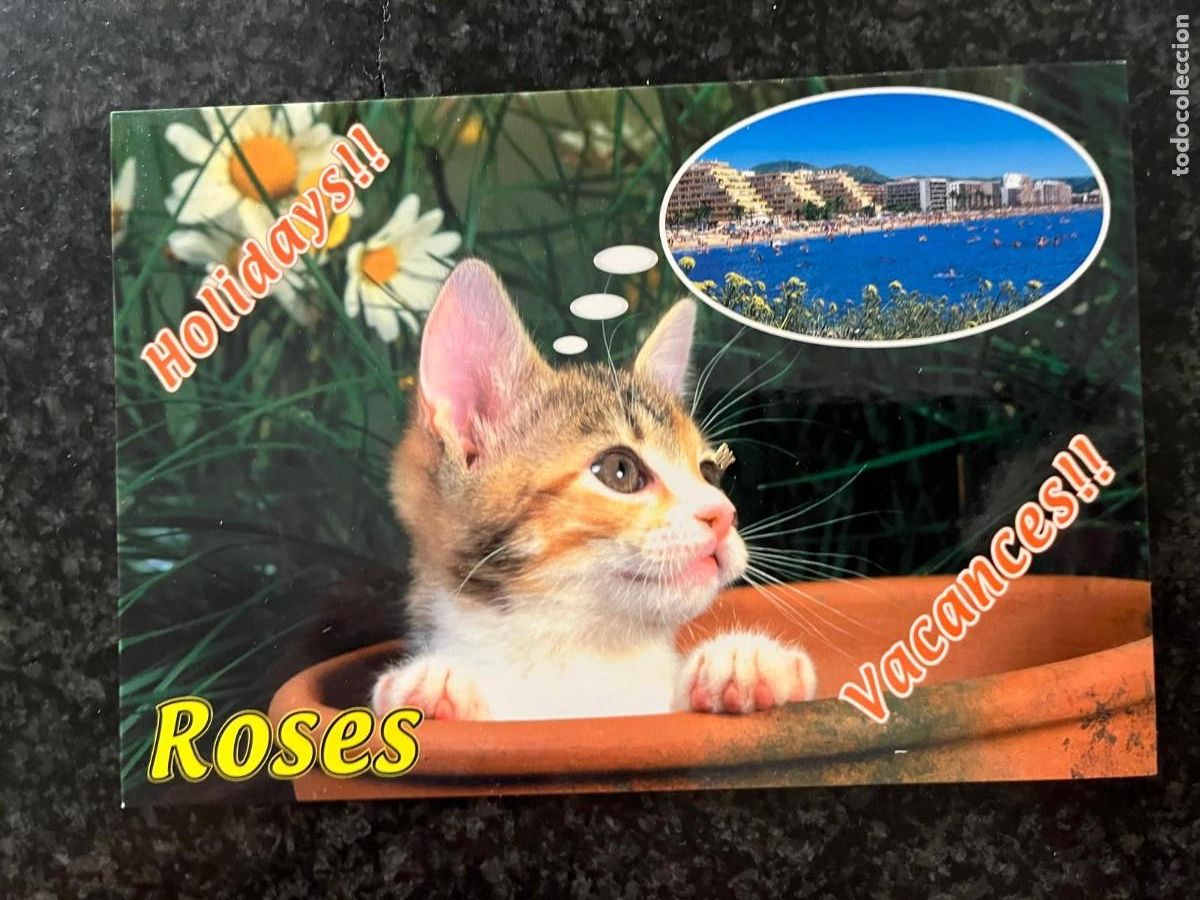 Postkarten: postal gato Roses Girona Holidays vacances
