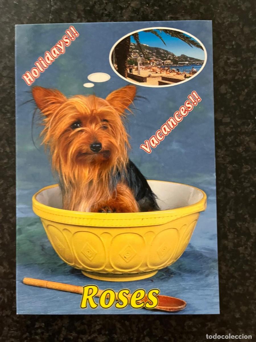 Cartoline: postal perro Roses Girona Holidays vacances