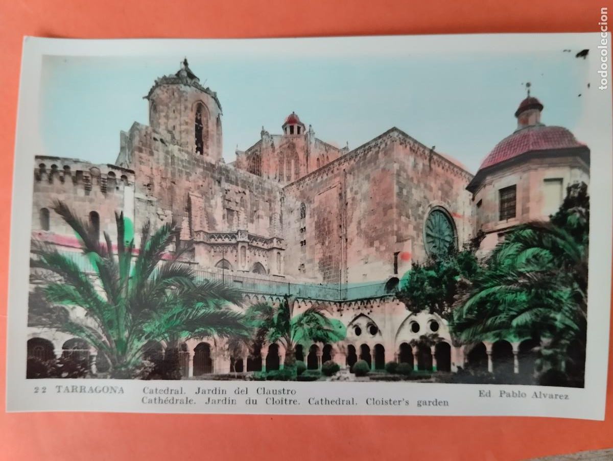 Postales: TARRAGONA, CATEDRAL JARDIN DEL CLAUSTRO. ED. PABLO ALVAREZ.