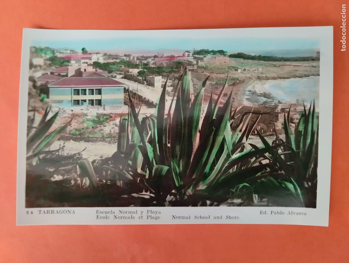 Postales: TARRAGONA, ESCUELA NACIONAL Y PLAYA. ED. PABLO ALVAREZ.