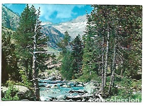 Postales: PARC NACIONAL D&acute;AIGUES TORTES, VALL DE BOHI / LLEIDA