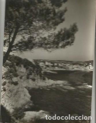 Postales: ANTIGUA POSTAL 88 COSTA BRAVA CALELLA DE PALAFRUGELL LA PLAYA DEL CANADELL 1957
