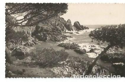Postales: ANTIGUA POSTAL COSTA BRAVA TAMARIU RINCON DE AIGUA XELIDA 1949 FOTOGRAFIA GRANES PALAFRUGELL
