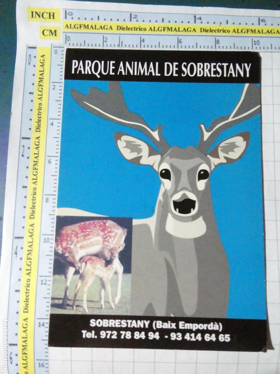 Postales: POSTAL DE GERONA. PARQUE ANIMAL SOBRESTANY. 3806