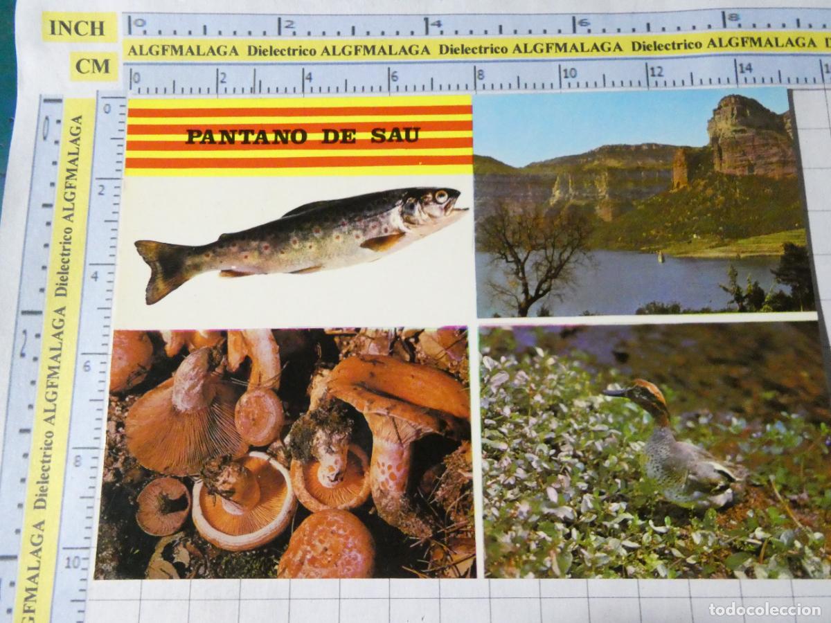 Postales: POSTAL DE GERONA. A&Ntilde;O 1967. PANTANO DE SAU FAUNA PECES. FITER. 3816